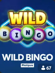 Wild Bingo BC Game Deutschland game cover