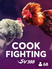 Cock Fighting BC Game Deutschland game cover